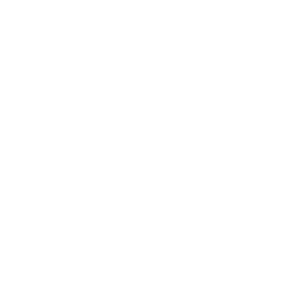 selvatica logo